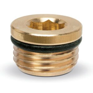 Blanking Plugs