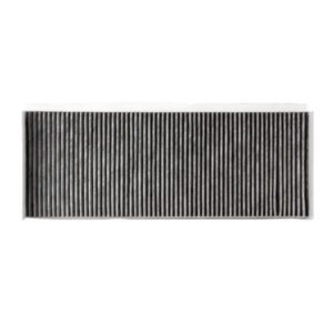 Cab Air Active Carbon Filter – AF55719