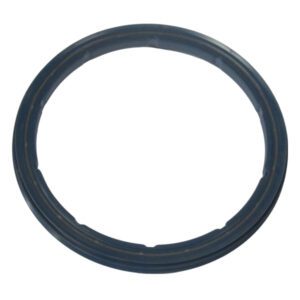 Oil seal