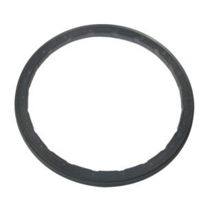 Oil seal
