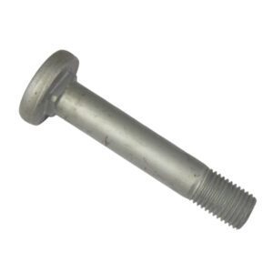 Pivot Bolt, M30 x 170mm / 62
