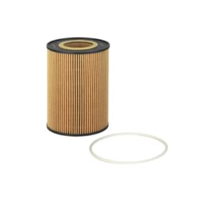 Lube Filter Cartridge – P550630