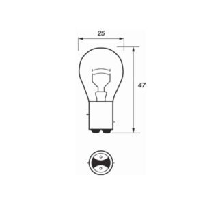12V Bulbs
